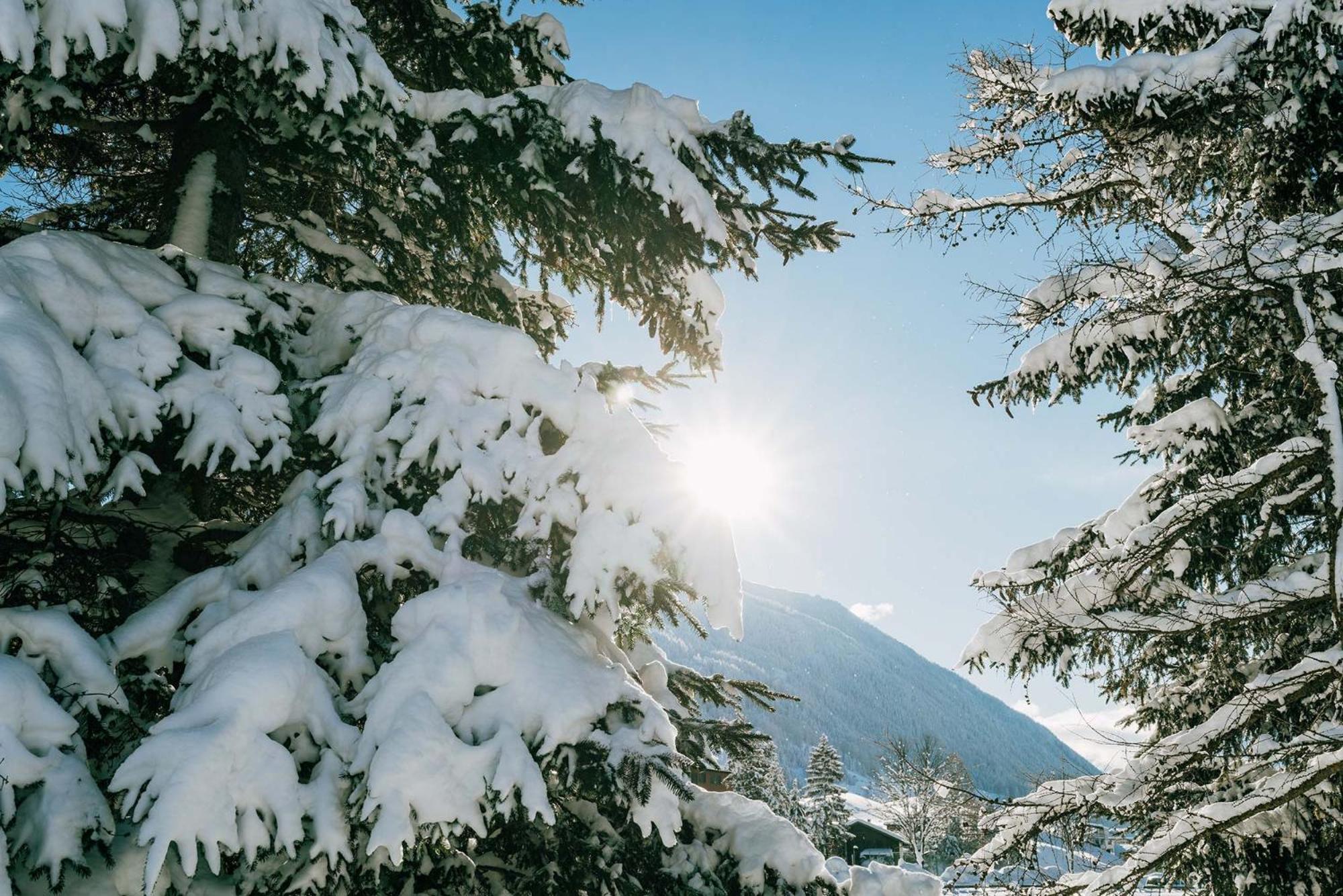 Burgstall Neustift im Stubaital